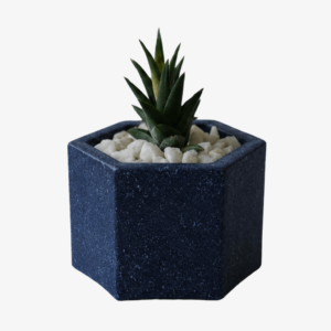 EcoPot plant and pot set made from recycled plastic