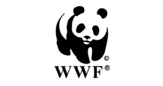 WhatsApp-Image-2024-01-26-at-00.47.48_fac02330-PhotoRoom.png-PhotoRoom-e1785865010518.png